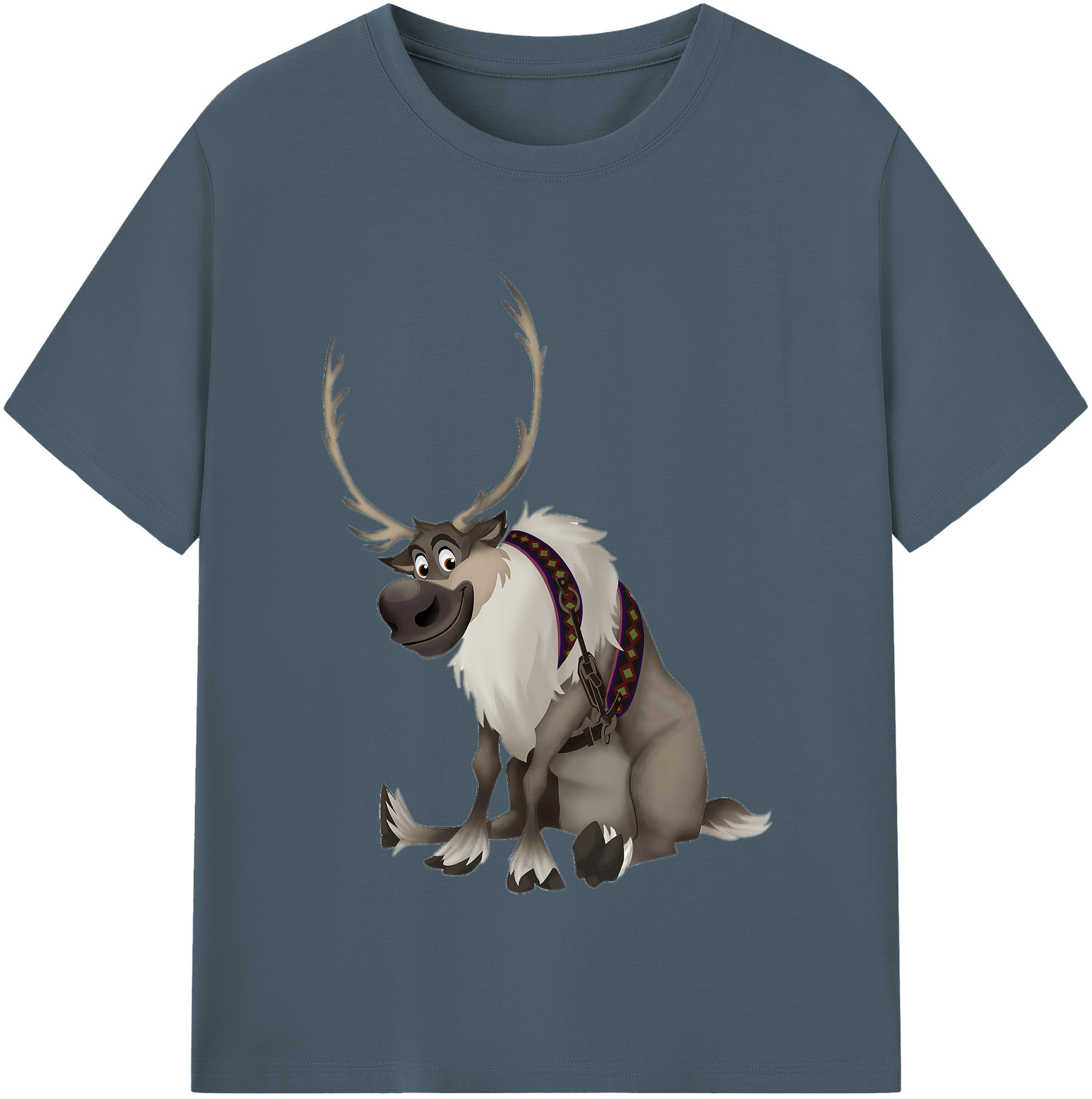 （画像用） アナと雪の女王 アンナ エルサ Frozen Anna Elsa 綿100％半袖Tシャツ（フロントプリント）